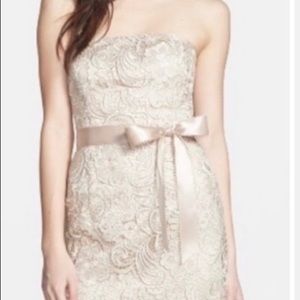 Adriana Papell Lace Sheath Dress
Strapless